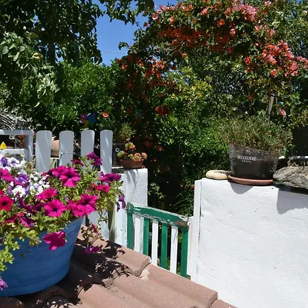Holiday home Bilocale Al Mare Olbia